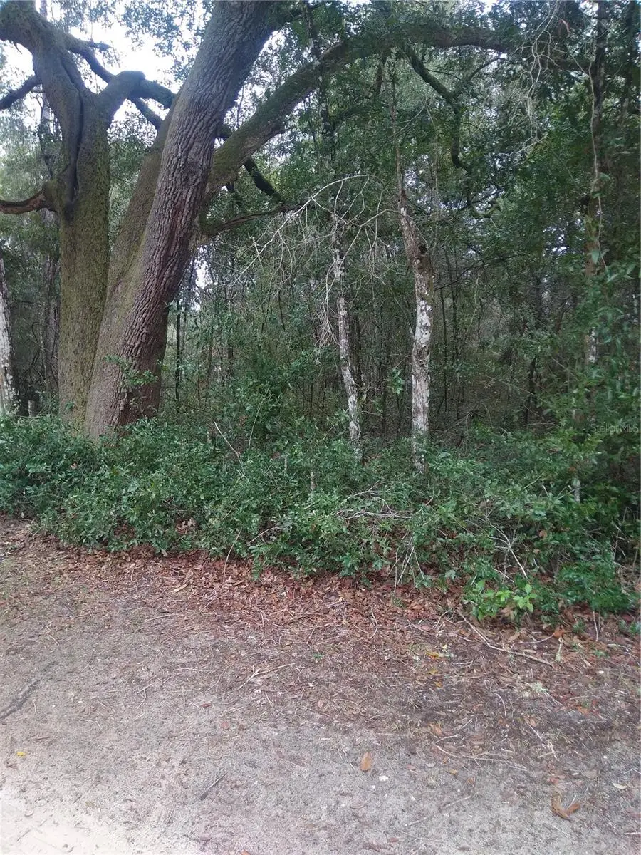 00 NE 147th Court, Silver Springs, FL 34488 - Image #2
