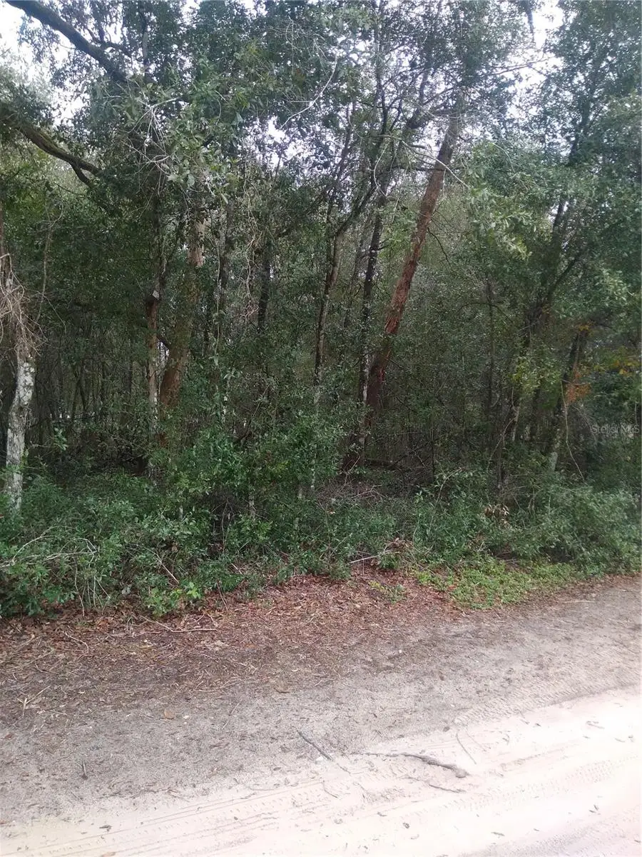 00 NE 147th Court, Silver Springs, FL 34488 - Image #3