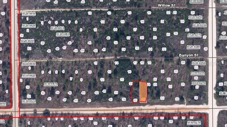 00 Main Street, Interlachen, FL 32148 - Image #2