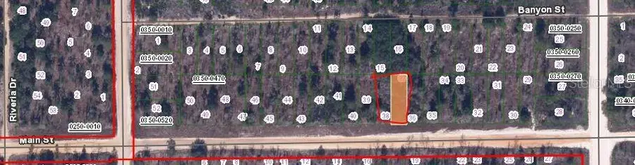 00 Main Street, Interlachen, FL 32148 - Image #2