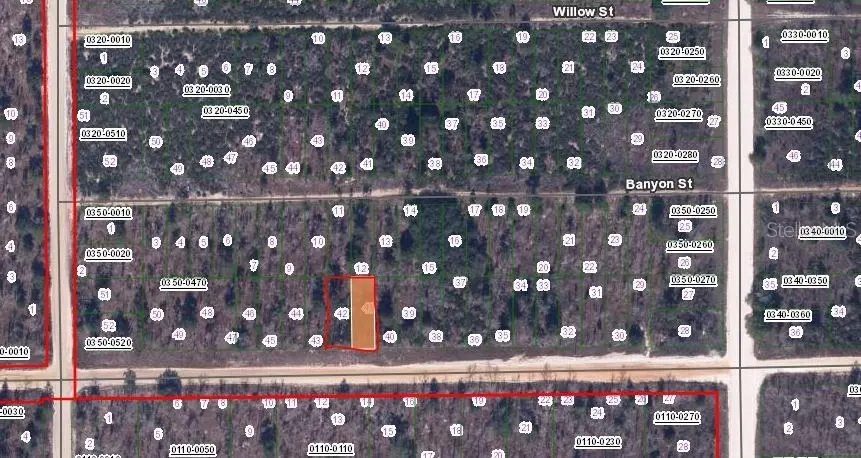 00 Main Street, Interlachen, FL 32148 - Image #2