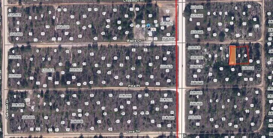 Maple Drive, Interlachen, FL 32148 - Image #2