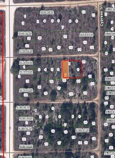00 Chestnut Trail, Interlachen, FL 32148 - #2