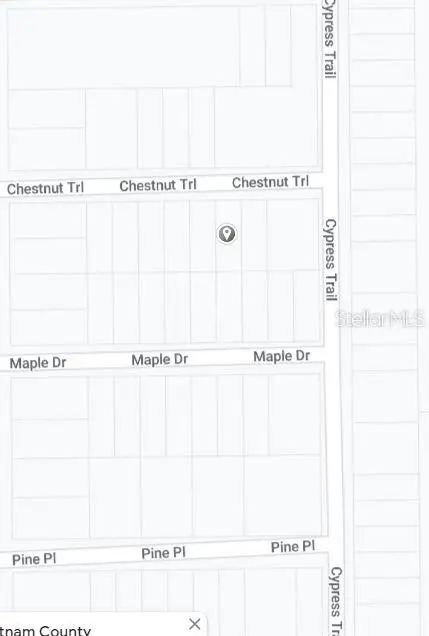 00 Chestnut Trail, Interlachen, FL 32148 - #3