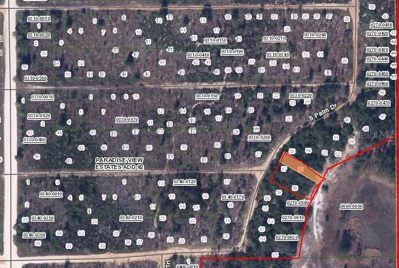 00 Cypress Trail, Interlachen, FL 32148 - #2