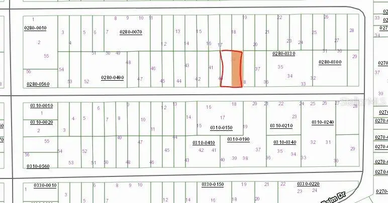 Birch Street, Interlachen, FL 32148 - #1