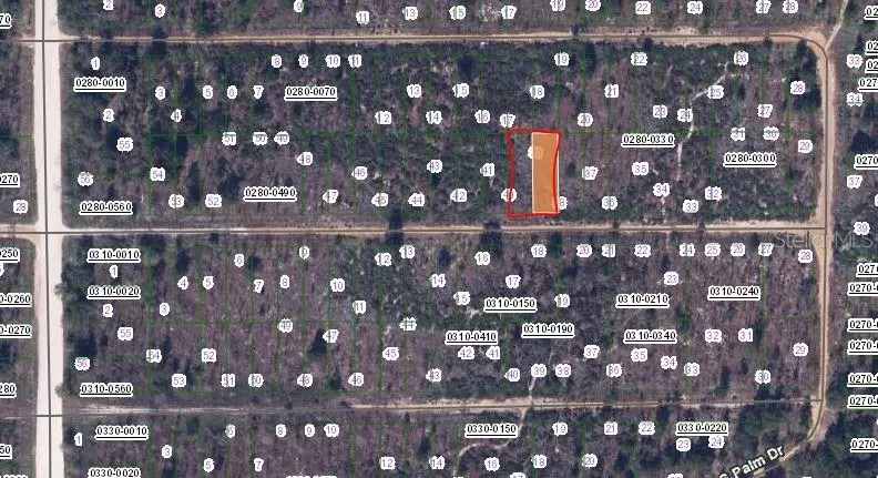 Birch Street, Interlachen, FL 32148 - #2