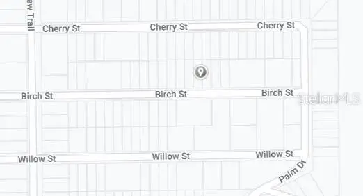 Birch Street, Interlachen, FL 32148 - #3