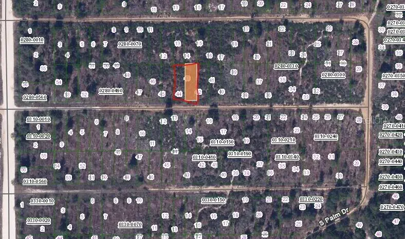 224 Birch Street, Interlachen, FL 32148 - #2