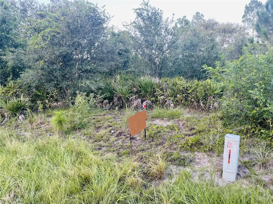 916 Richmond Avenue N, Lehigh Acres, FL 33972 - Image #2