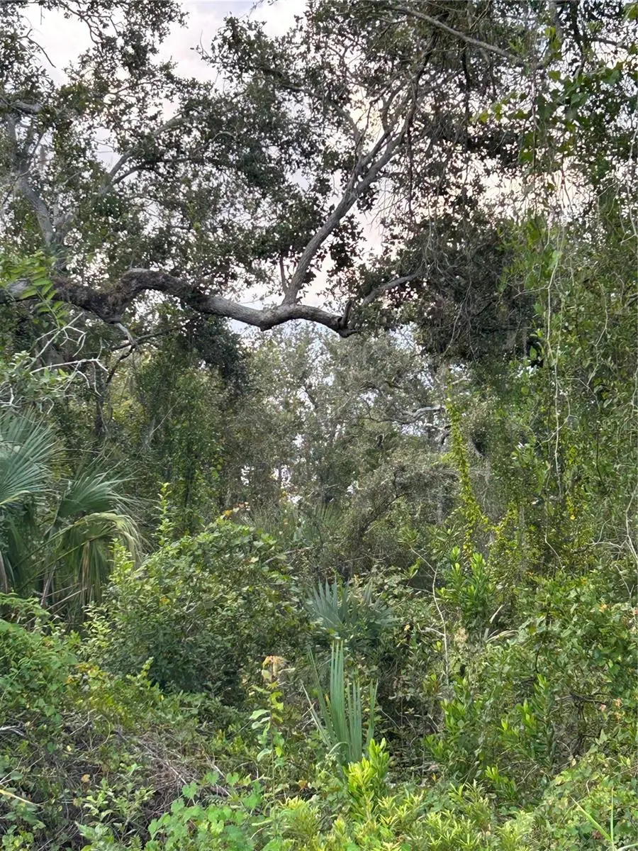 29431 Nottingham Road, Punta Gorda, FL 33982 - #2