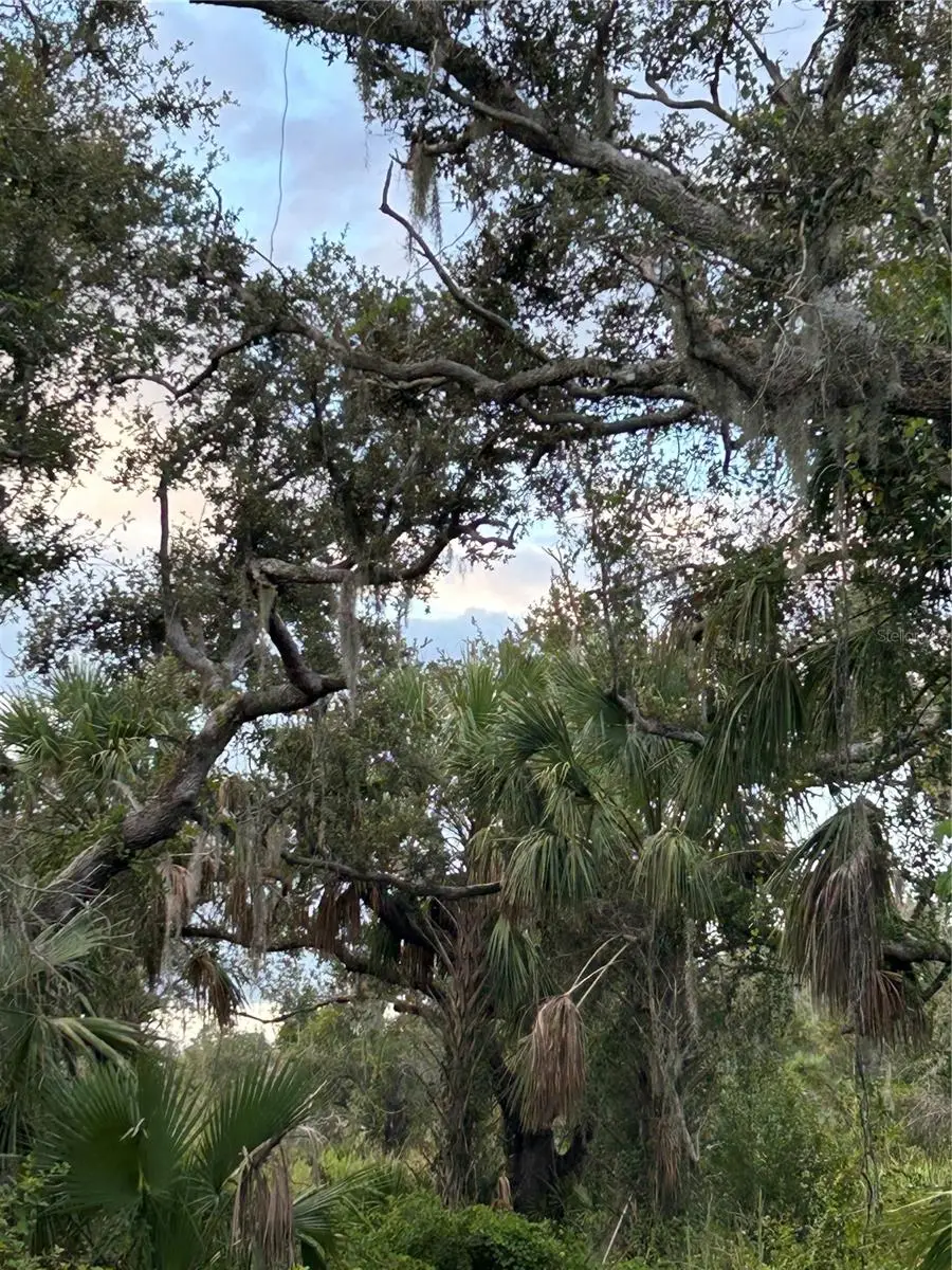 29431 Nottingham Road, Punta Gorda, FL 33982 - #3