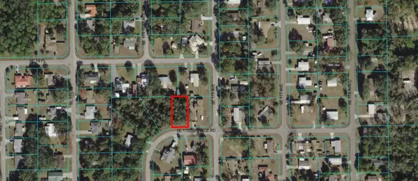 00 SE 20th Street, SILVER SPRINGS, FL 34488