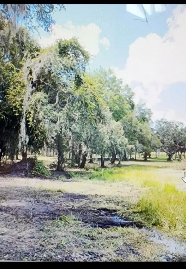 TBD SE State Road, WEIRSDALE, FL 32195