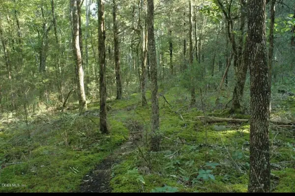 10392 SE 126th Lane, BELLEVIEW, FL 34420