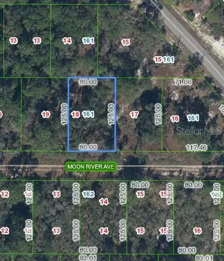 344 Moon River Avenue, Lake Placid, FL 33852 - Image #1