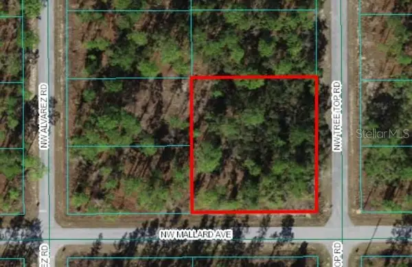 0 NW Tree Top Road, DUNNELLON, FL 34431