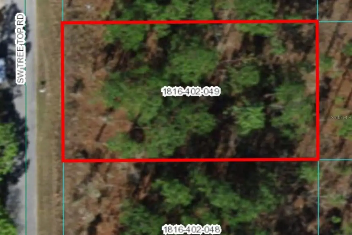 Sw Tree Top Rd, Dunnellon, FL 34431 - Image #1