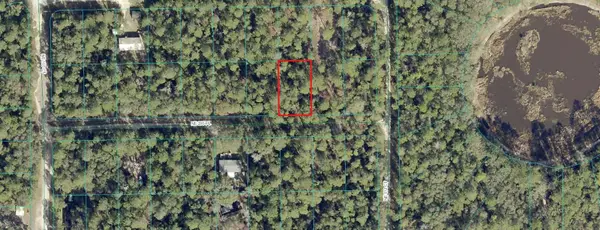 00 NE 235th Place, FORT MC COY, FL 32134