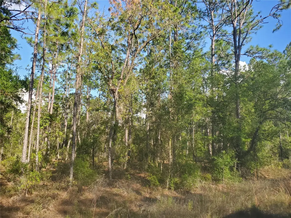 TBD SW 159 Avenue, Ocala, FL 34481 - Image #1