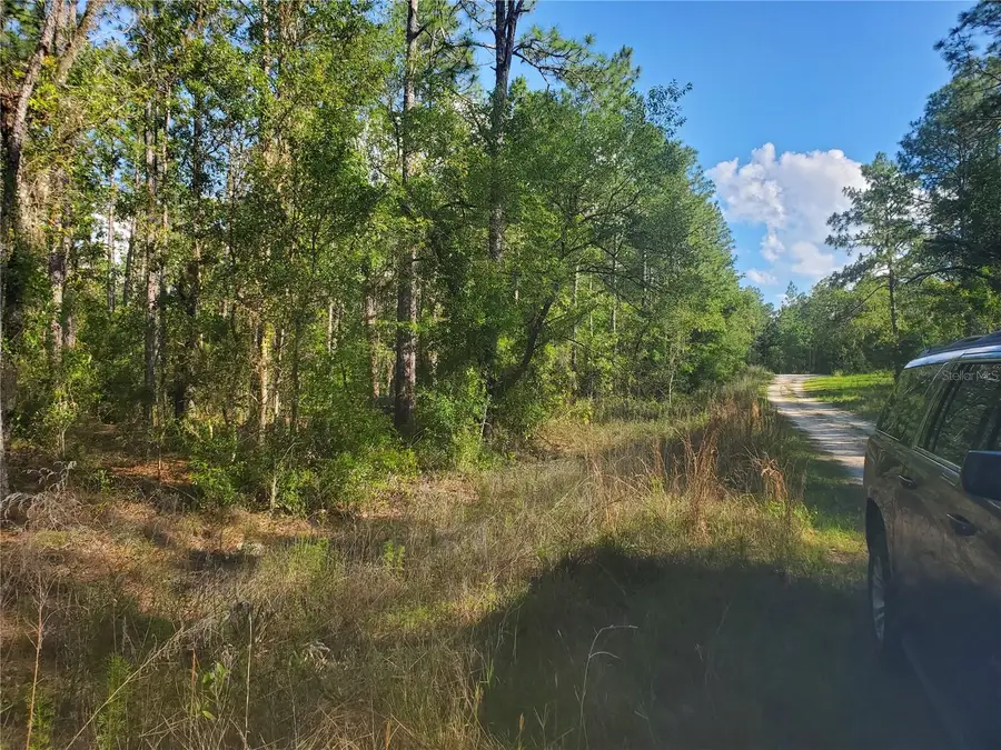 TBD SW 159 Avenue, Ocala, FL 34481 - Image #2