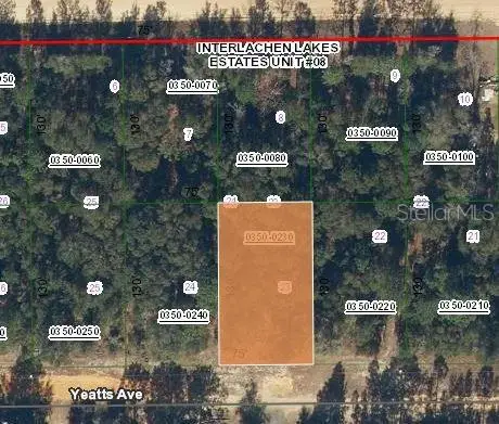 Yeatts Avenue, Interlachen, FL 32148 - Image #1