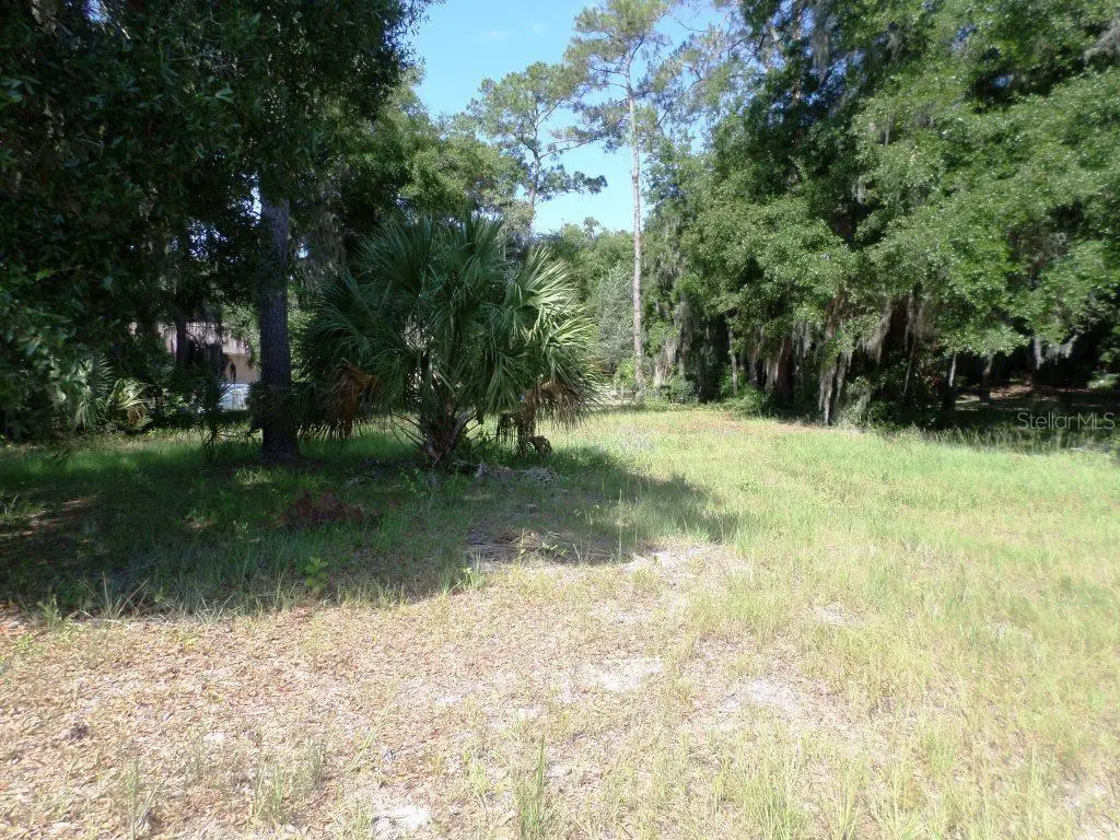 00 Blue Heron Ct, Dunnellon, FL 34432 - Image #1