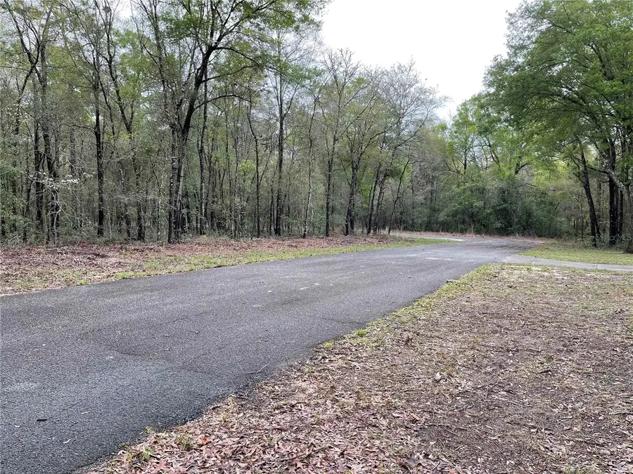 Lot 6 NE 6 Circle, Williston, FL 32696 - Image #3