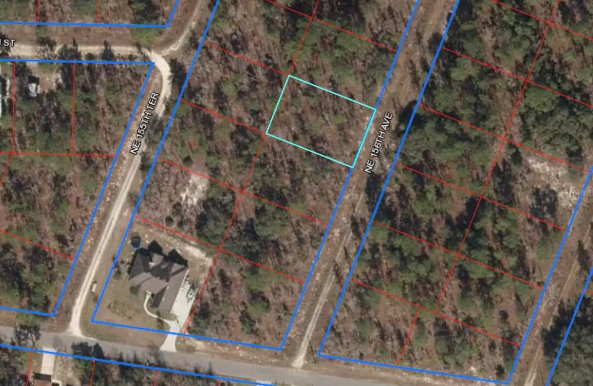 Lot 5 NE 156 Avenue, Williston, FL 32696 - Image #1