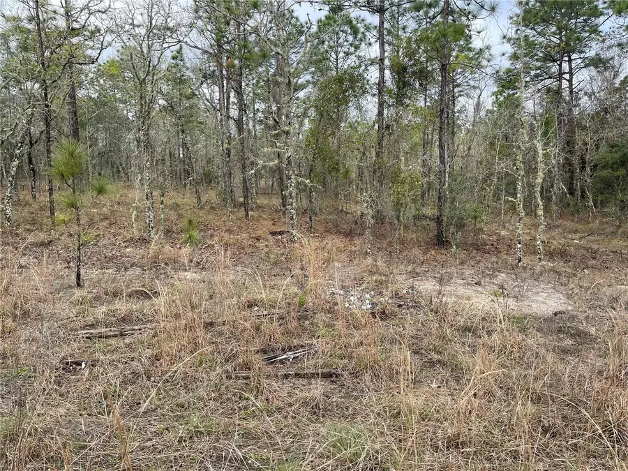 Lot 5 NE 156 Avenue, Williston, FL 32696 - Image #3