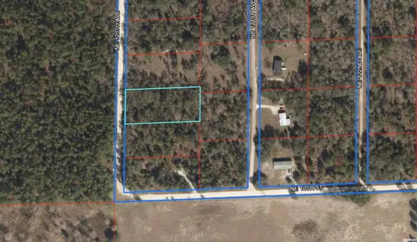 Lot 8 NE 120 Avenue, WILLISTON, FL 32696