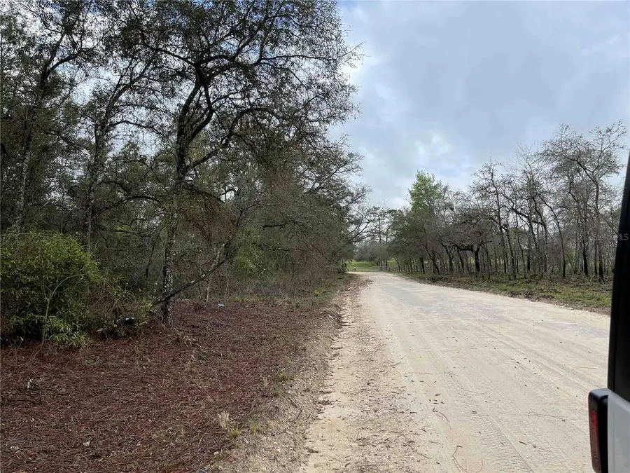 Lot 8 NE 120 Avenue, Williston, FL 32696 - Image #3