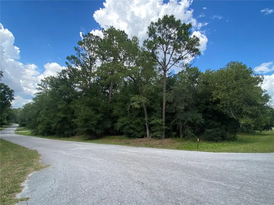 LOT 57 SW 203 Avenue, Dunnellon, FL 34431 - Image #2