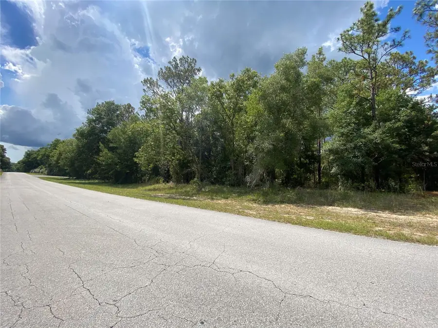 LOT 57 SW 203 Avenue, Dunnellon, FL 34431 - Image #3