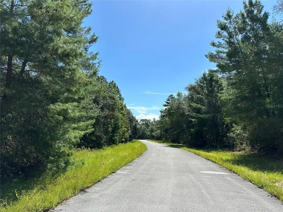 0000 SW 174 Street, Ocala, FL 34473 - Image #3