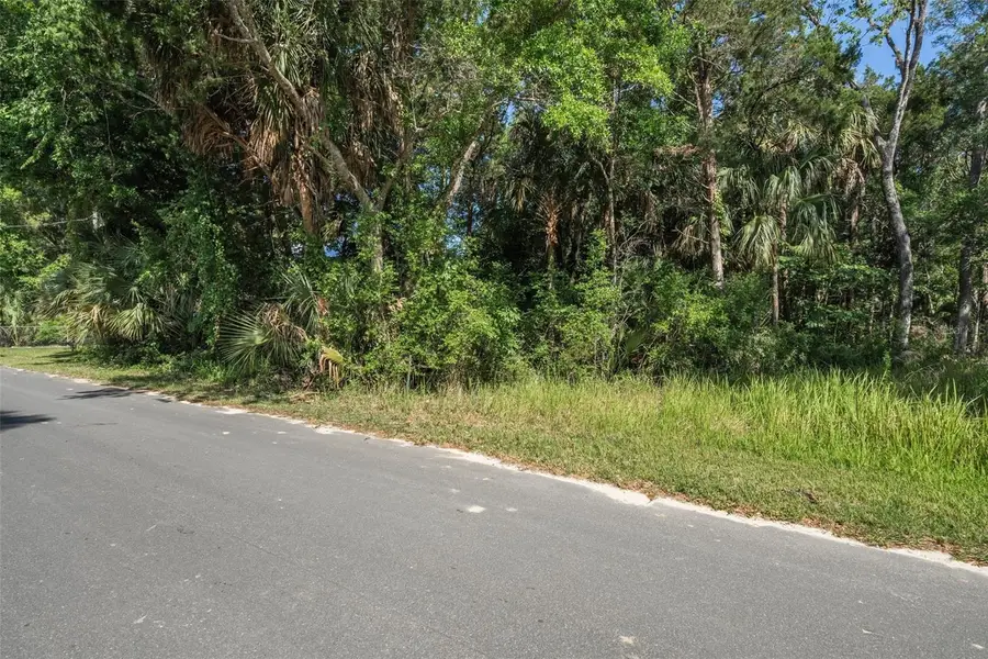 11681 W North Place, Homosassa, FL 34448 - Image #2