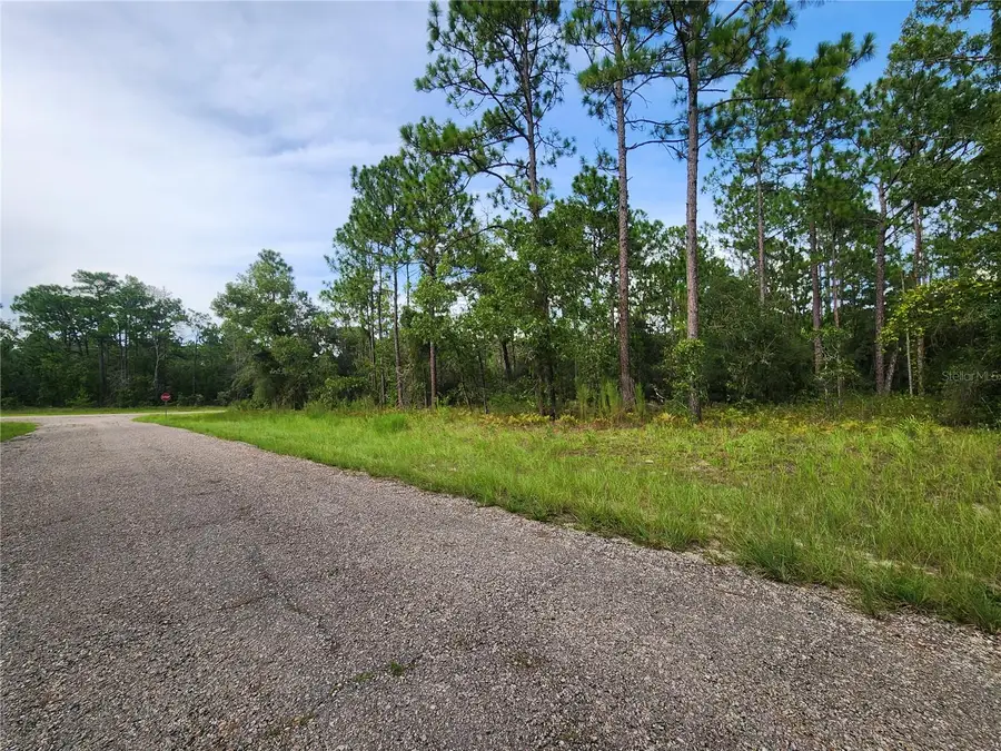 7441 N June Terrace, Dunnellon, FL 34434 - #2