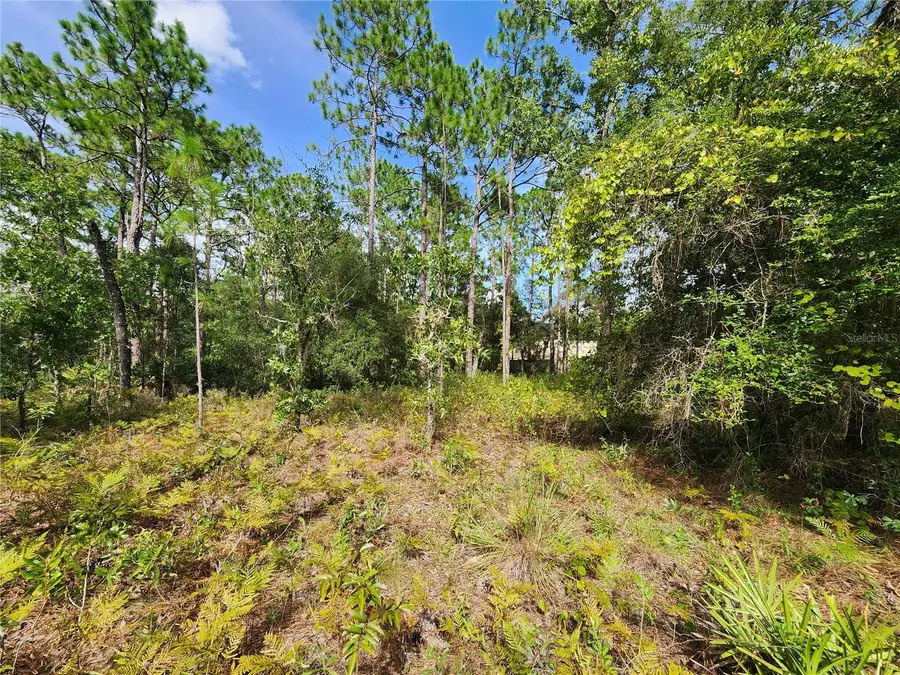 7441 N June Terrace, Dunnellon, FL 34434 - #3