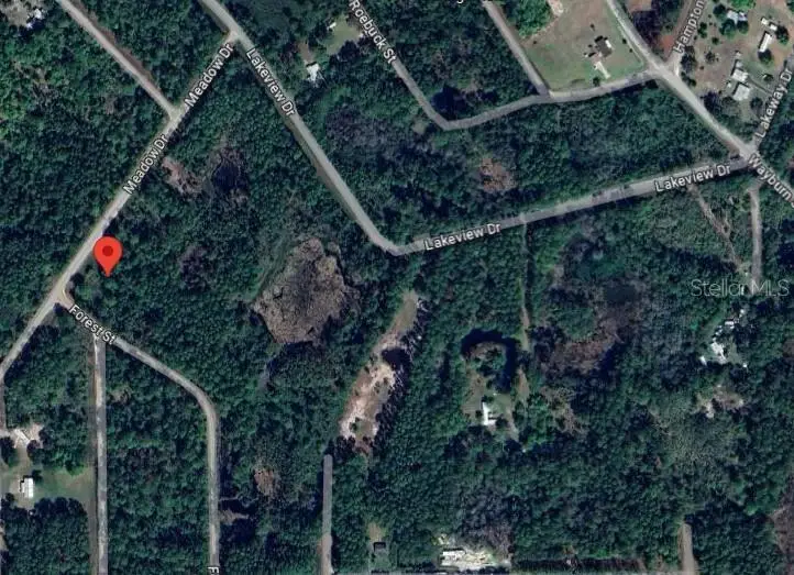 120 Meadow Drive, Georgetown, FL 32139 - Image #1