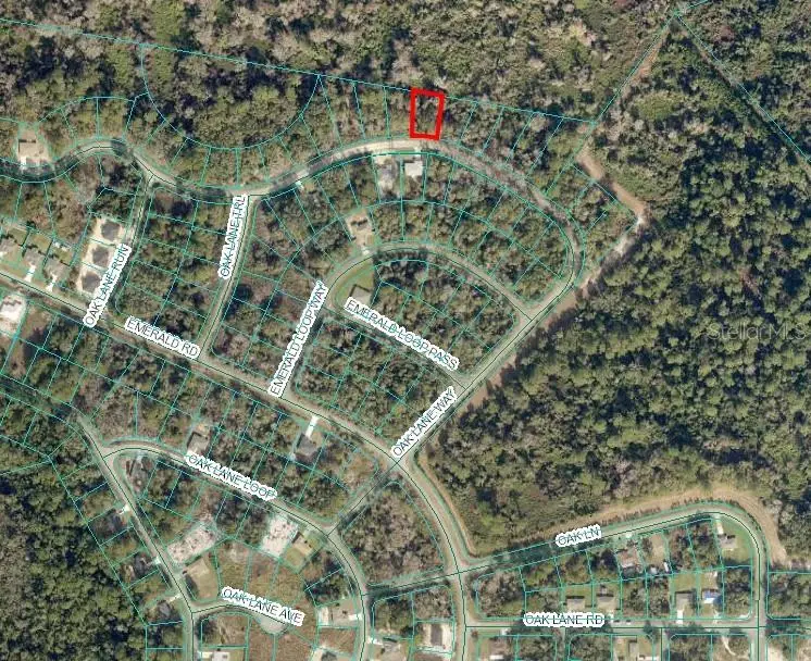 Oak Lane Way, Ocala, FL 34472 - Image #2