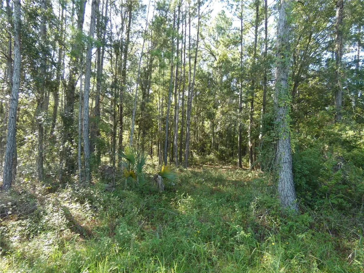 00 SE Hwy 19, Otter Creek, FL 32683 - Image #1