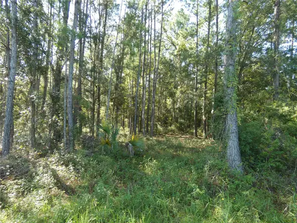 00 SE Hwy 19, OTTER CREEK, FL 32683