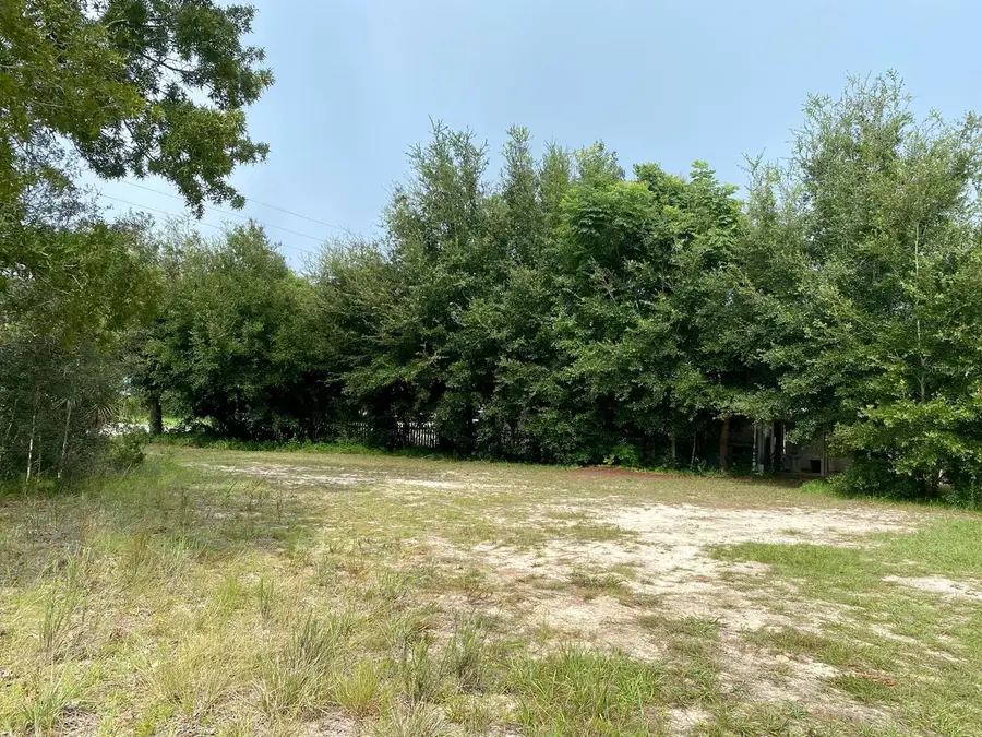 TBD SE 90th Court, Summerfield, FL 34491 - #3