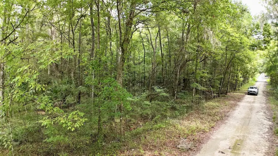 SW 14th Street, Ocala, FL 34481 - Image #2