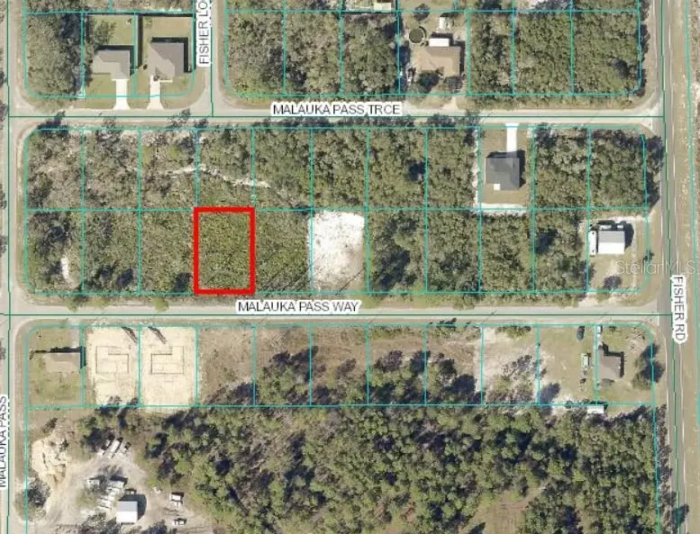 0 Malauka Pass Way, Ocklawaha, FL 32179 - Image #1