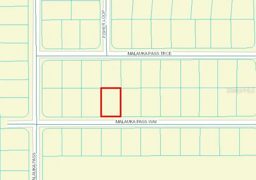 0 Malauka Pass Way, Ocklawaha, FL 32179 - Image #2