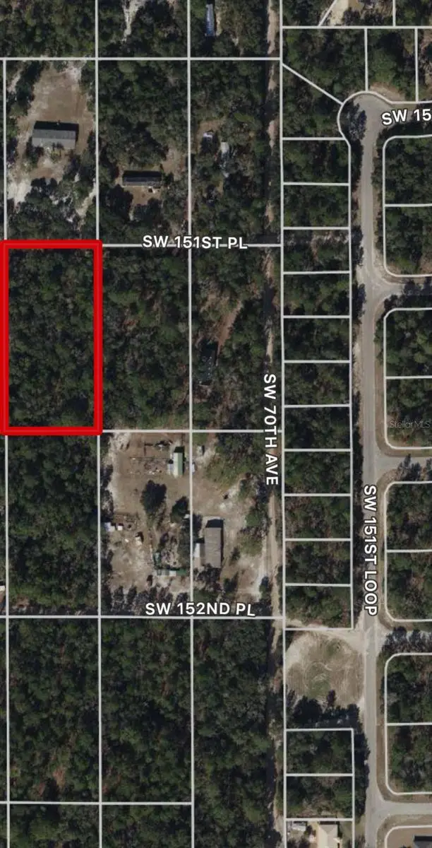 SW 151st Place, Dunnellon, FL 34432 - #2