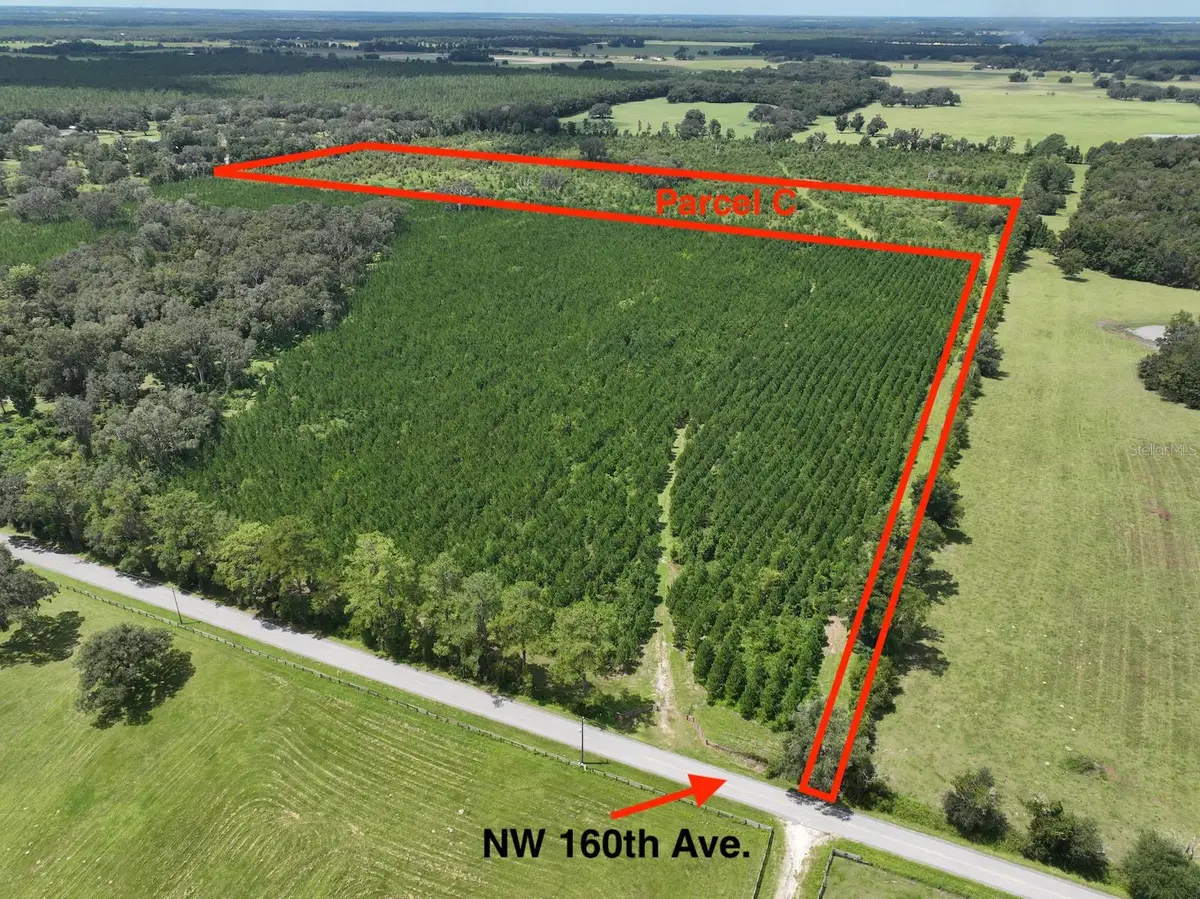 Parcel C NW 160th Avenue, Morriston, FL 32668 - Image #1
