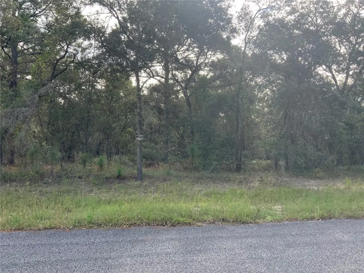 Se 139th Ter Lot 19, Morriston, FL 32668 - Image #1