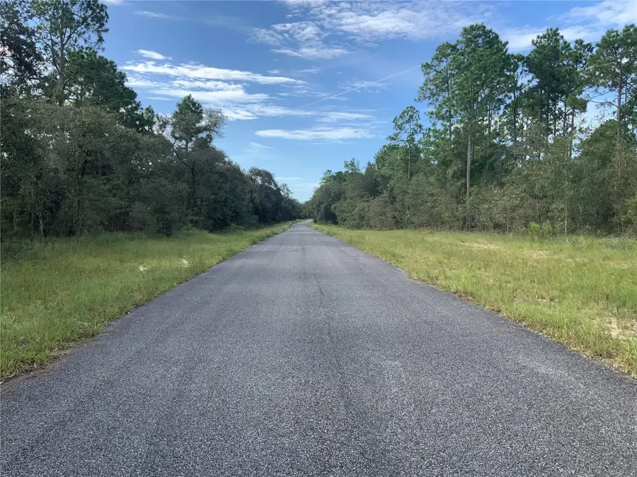 Se 139th Ter Lot 19, Morriston, FL 32668 - Image #3
